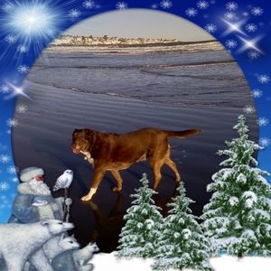 Meet your Posher, Miriam